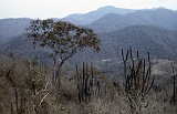 617_Machalilla NP